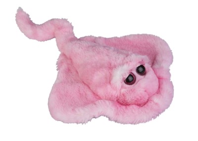 Picture of RAY SOFT TOY