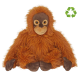 ORANG-UTAN RECYCLED image 2