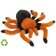 TARANTULA RECYCLED image 2