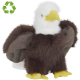 Picture of EAGLE RECYCLED