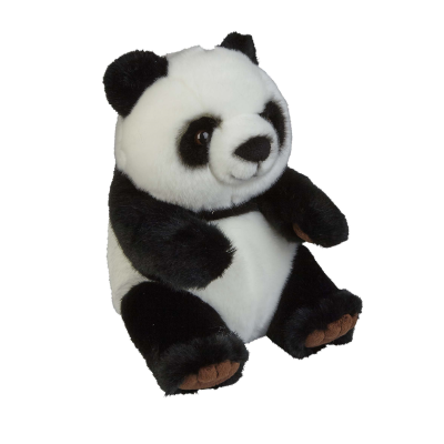 Picture of PANDA.