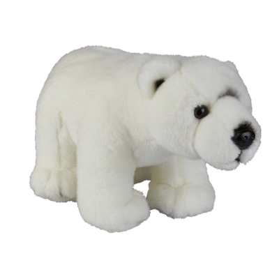 Picture of POLAR BEAR.