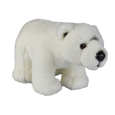 Picture of POLAR BEAR