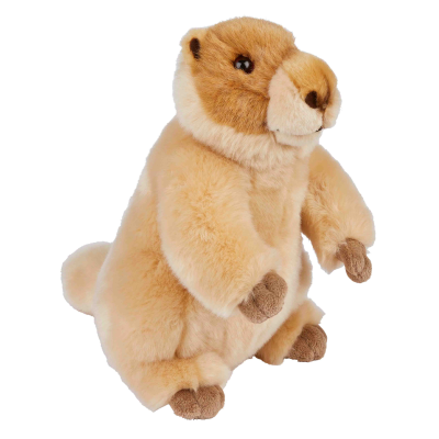 Picture of PRAIRIE DOG