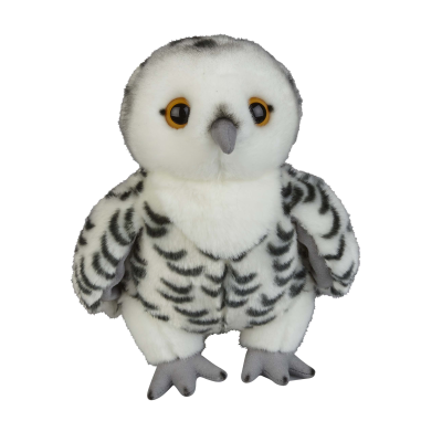 Picture of SNOWY OWL