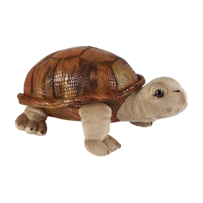 Picture of TORTOISE SOFT TOY.