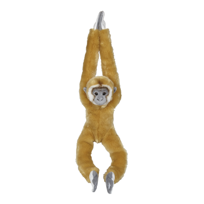 Picture of GIBBON HANGING