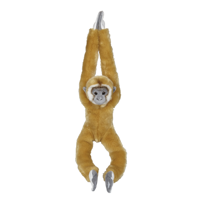 Picture of GIBBON HANGING.