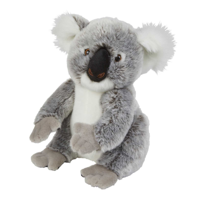 Picture of KOALA