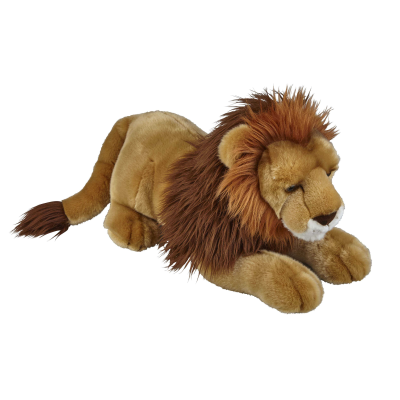 Picture of LION