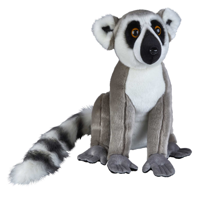 Picture of RING-TAILED LEMUR