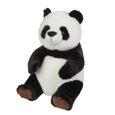 Picture of PANDA