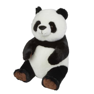 Picture of PANDA.