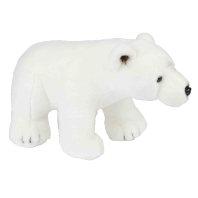 Picture of POLAR BEAR