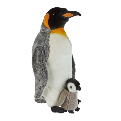Picture of KING PENGUIN with Chick