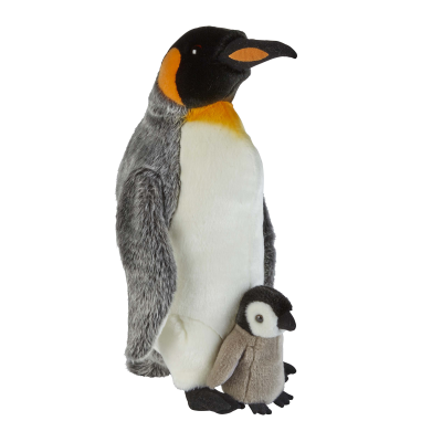 Picture of KING PENGUIN with Chick.