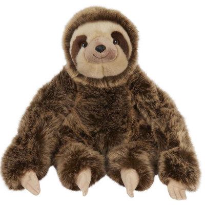 Picture of SLOTH.