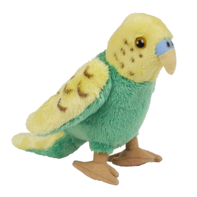 Picture of BUDGERIGAR