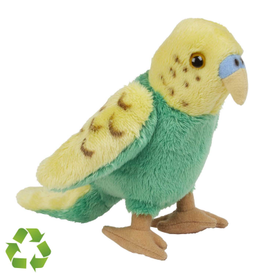 Picture of BUDGERIGAR