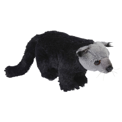 Picture of BINTURONG SOFT TOY.