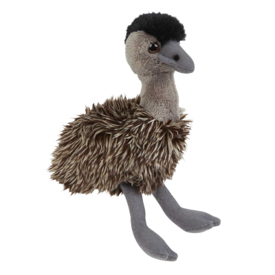 Picture of EMU