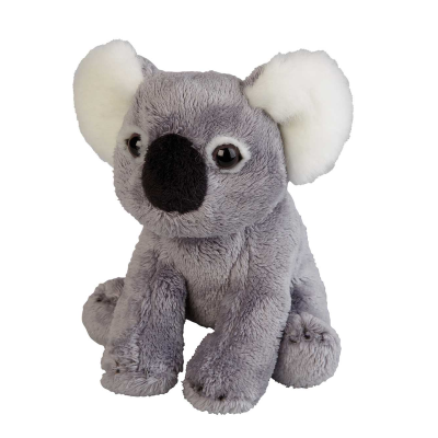 Picture of KOALA SOFT TOY.