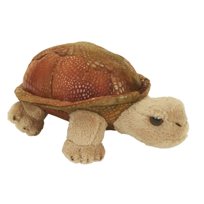 Picture of GIANT TORTOISE SOFT TOY.