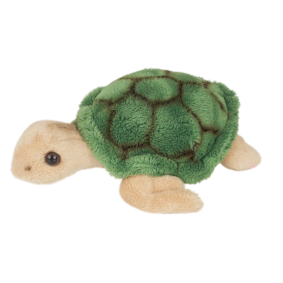 Picture of TURTLE SOFT TOY.