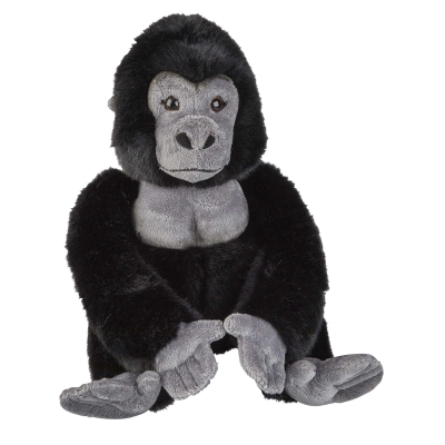 Picture of GORILLA.