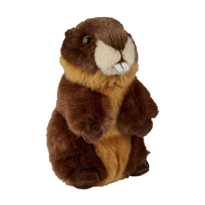 Picture of BEAVER SOFT TOY