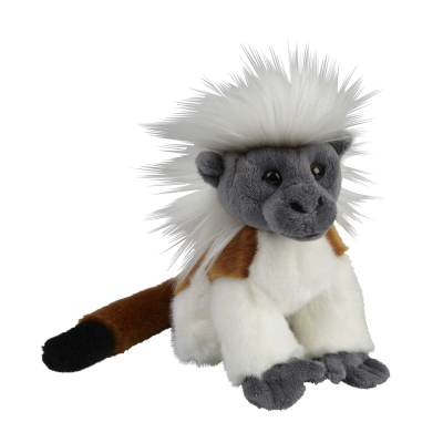 Picture of COTTON-TOP TAMARIN SOFT TOY.