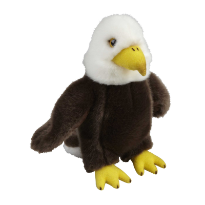 Picture of EAGLE SOFT TOY.