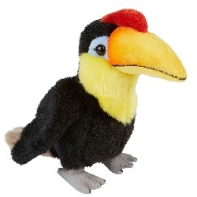 Picture of HORNBILL.