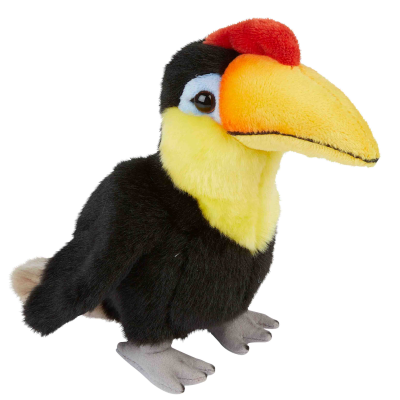 Picture of HORNBILL