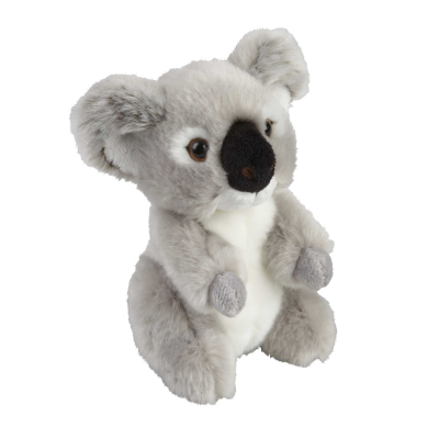 Picture of KOALA SOFT TOY.