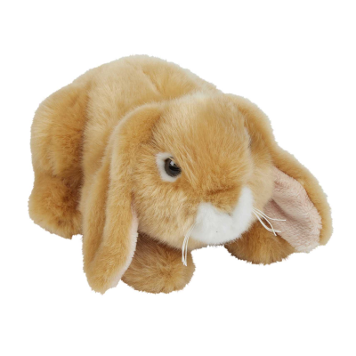 Picture of LOP-EAR RABBIT