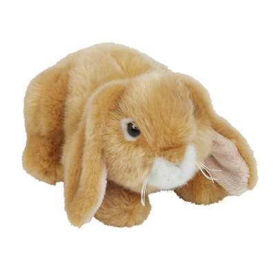 Picture of LOP-EARED RABBIT.