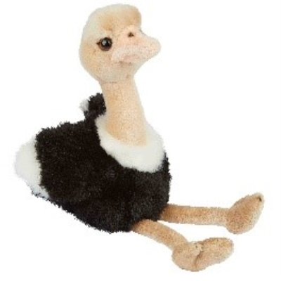 Picture of OSTRICH.