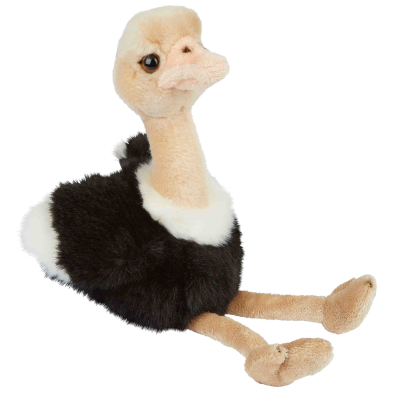 Picture of OSTRICH