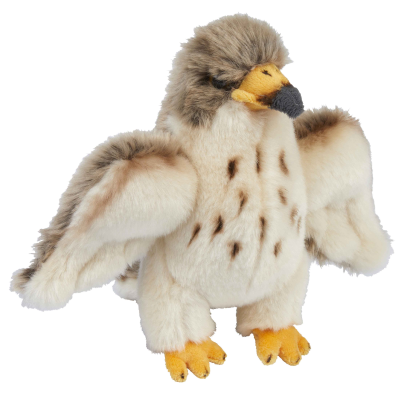 Picture of PEREGRINE FALCON SOFT TOY.