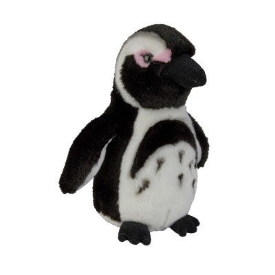 Picture of HUMBOLDTS PENGIN SOFT TOY.