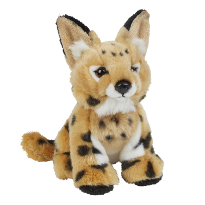 Picture of SERVAL
