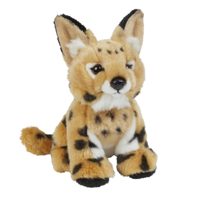 Picture of SERVAL.