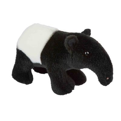 Picture of TAPIR.