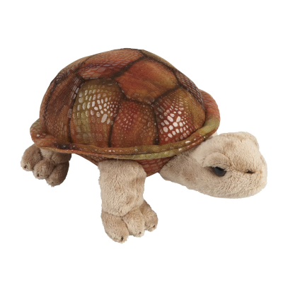 Picture of GIANT TORTOISE SOFT TOY.