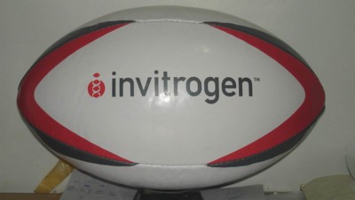 Picture of RUGBY BALL.