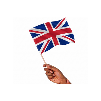 Picture of POLYESTER HAND WAVING FLAG