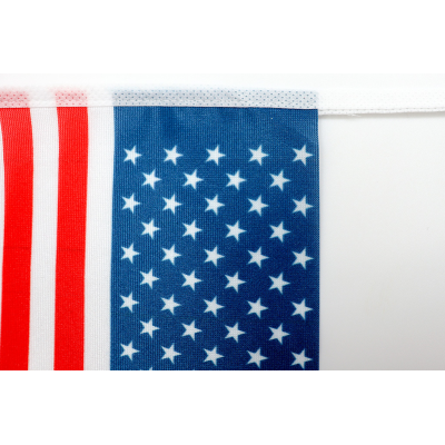 Picture of BUNTING FLAGS