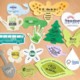 Picture of BESPOKE PRINTED SEEDS PAPER SHAPE