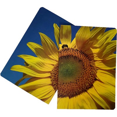 Picture of RAMPTON ECOLOUR UK MADE A5 FLEXI NOTE BOOK with Recycled Card Cover